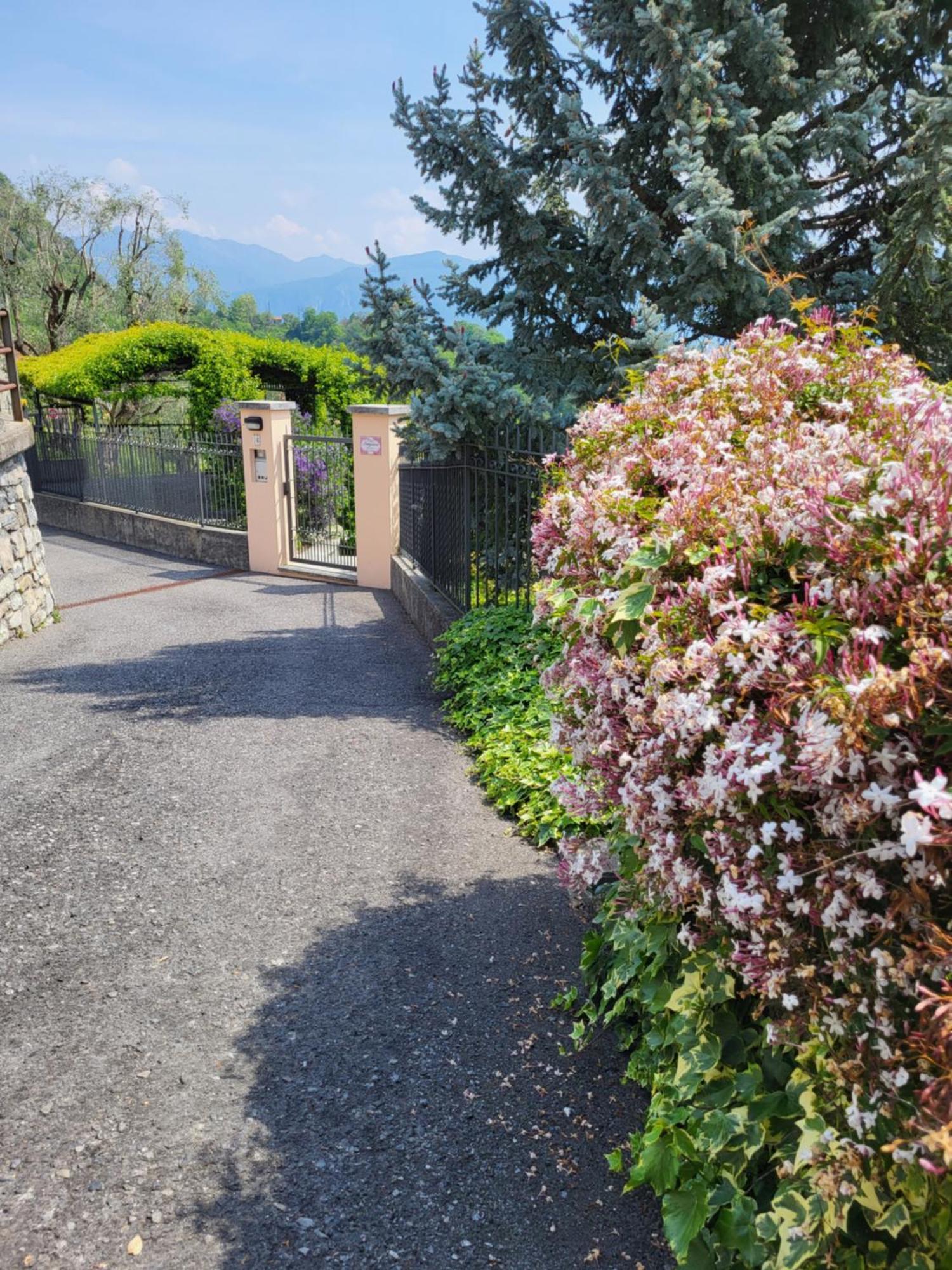 Casa Intignano - Appartamento Con Terrazzo Vista Lago Tremezzo Dış mekan fotoğraf