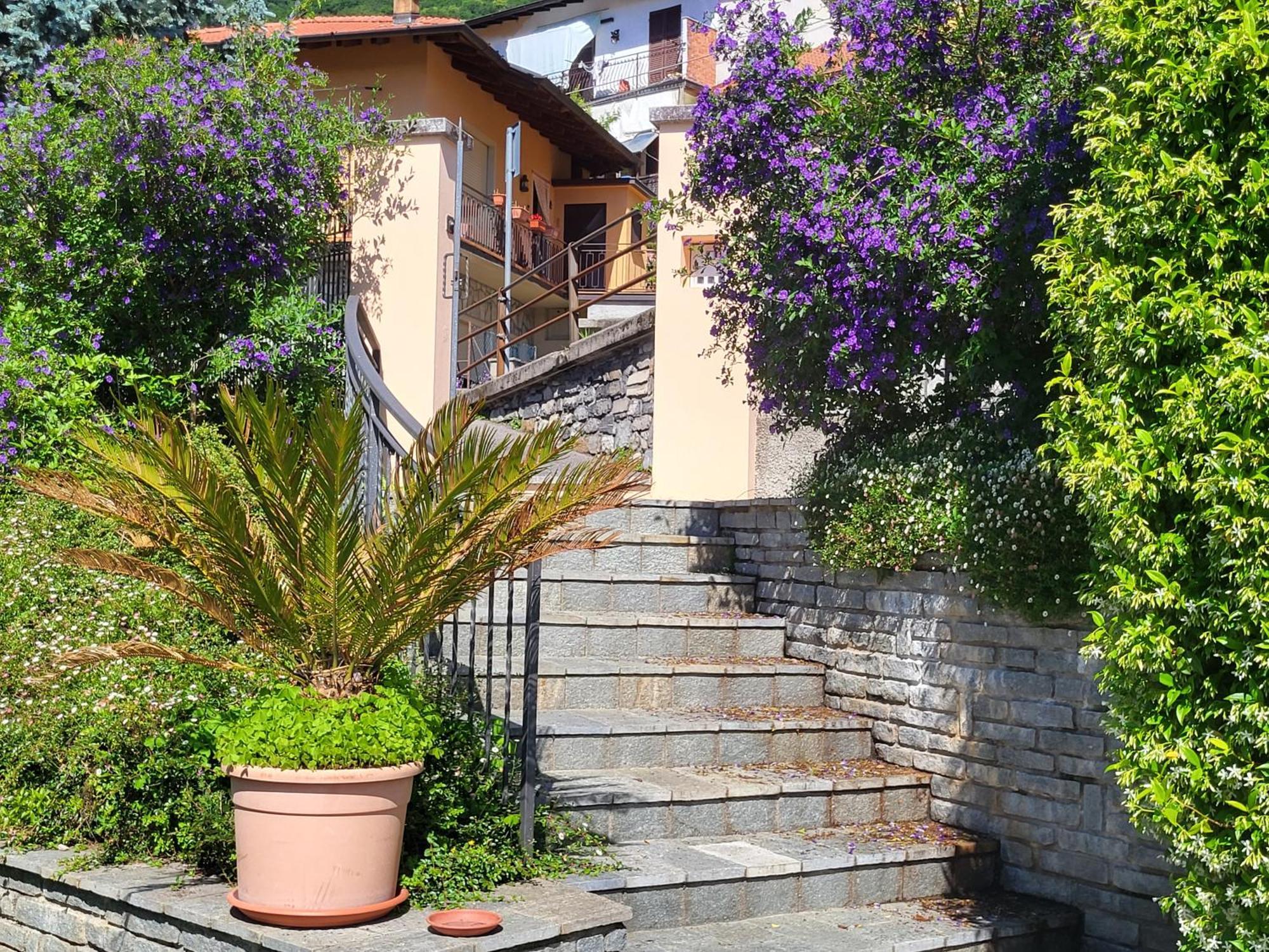 Casa Intignano - Appartamento Con Terrazzo Vista Lago Tremezzo Dış mekan fotoğraf