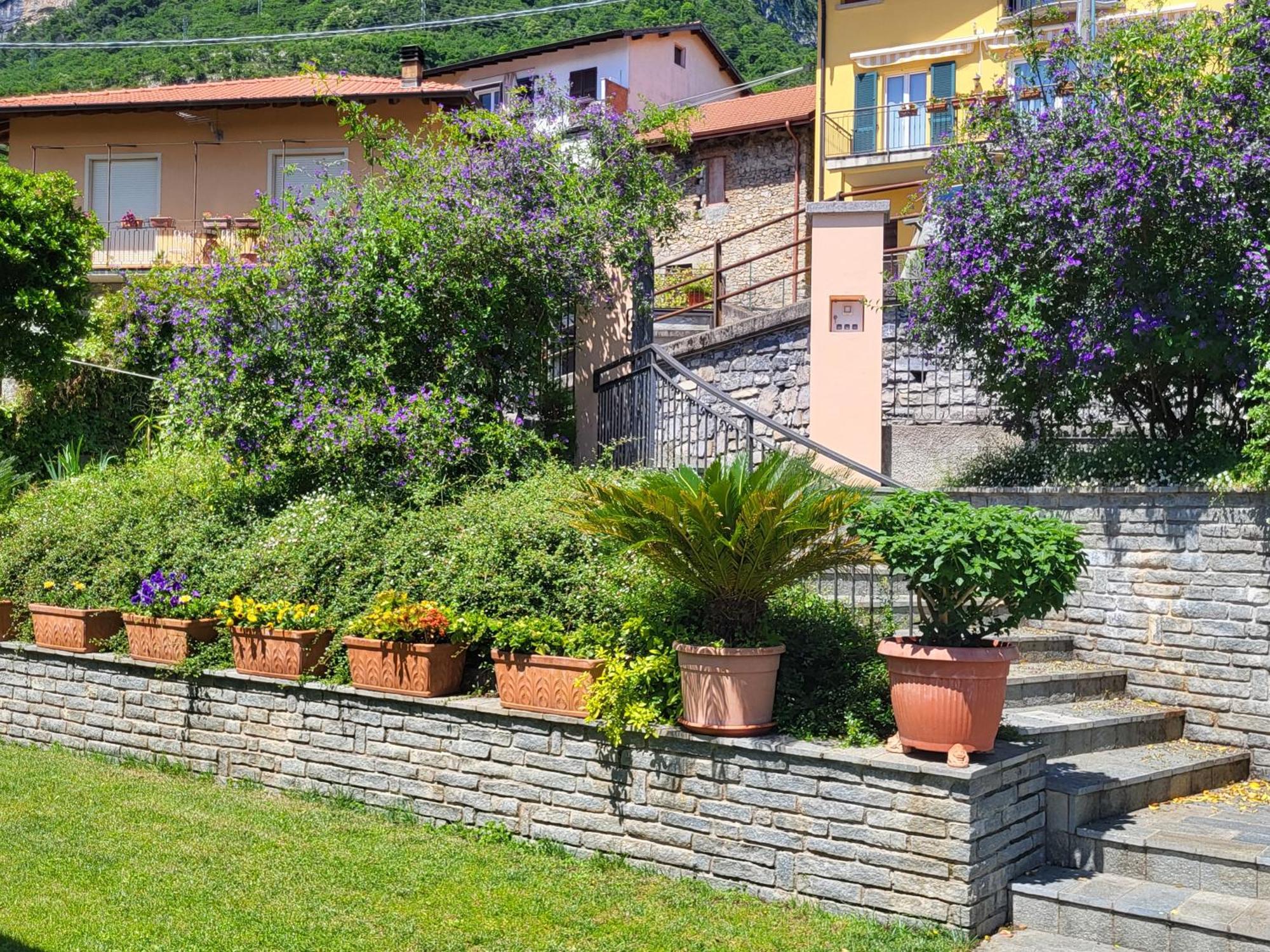 Casa Intignano - Appartamento Con Terrazzo Vista Lago Tremezzo Dış mekan fotoğraf